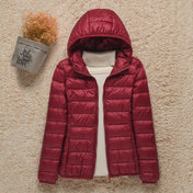 Van Dam - Stylish Padded Jacket